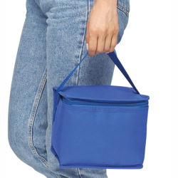 Køletaske til 6 dåser - Ideel til udendørs aktiviteter og picnics